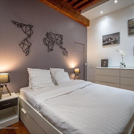 L'Ecrin De Chambery, Coeur De Centre Ville, Calme Et Espace 外观 照片